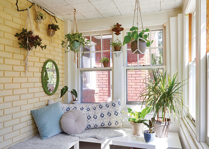 decorating with houseplants sunroom