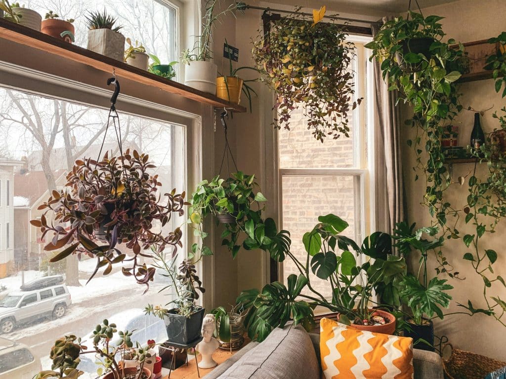 cozy plant shelf ideas small space