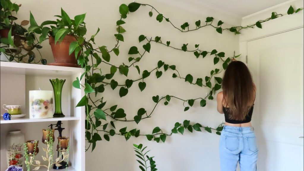 how to style trailing pothos on shelves tiny home