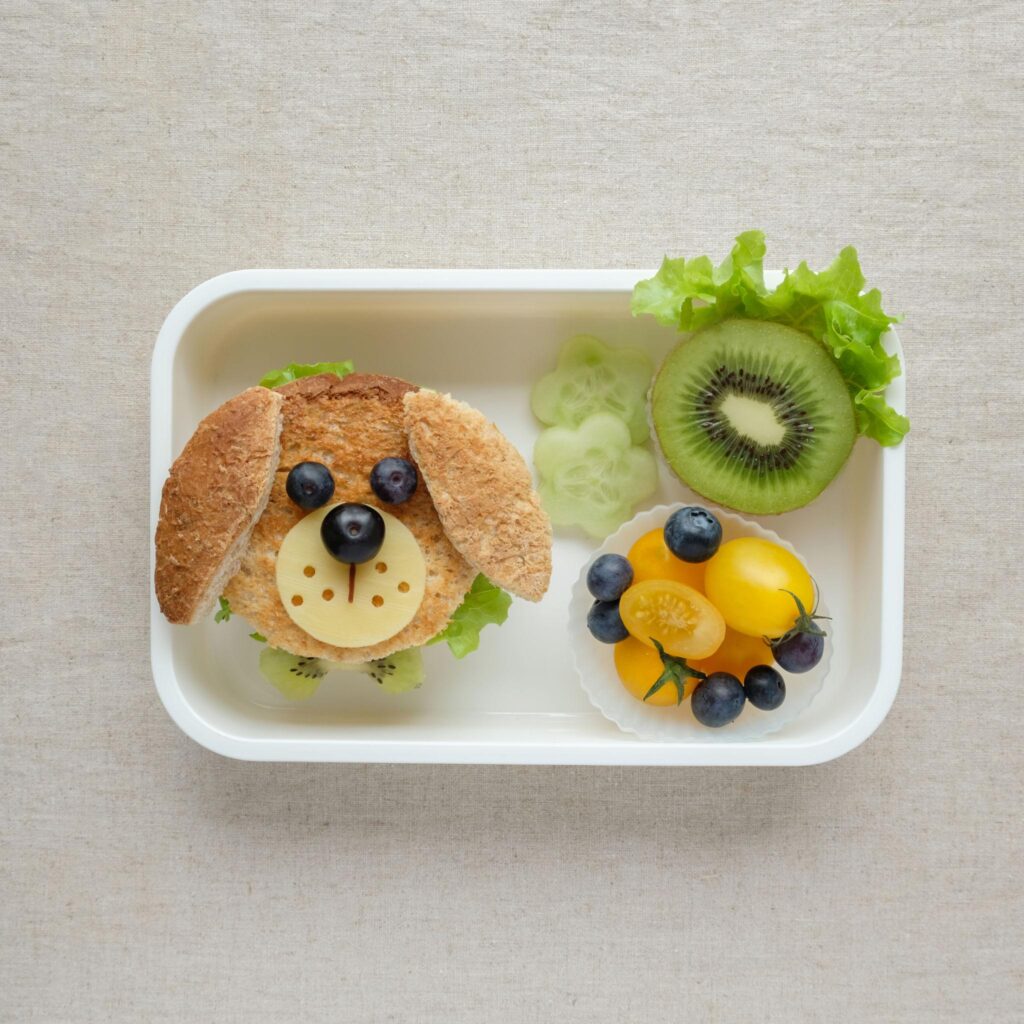 Healthy Lunchbox Ideas for Preschool Kids oatnijlb o4dlr mdfhar08nccmzyessuaivofxwypdgbpejwbkk5jwmr3vy5upgnl58yoit7cpnyswky4tofms2r5zkhfziw8bzmg 8kvf1f ik9tev 7siw7 z6biyotr3ea6snpmyuecluqulqfn6xdvql5vfboupsqmcuof7rg3tmo11t hctuhimp8c