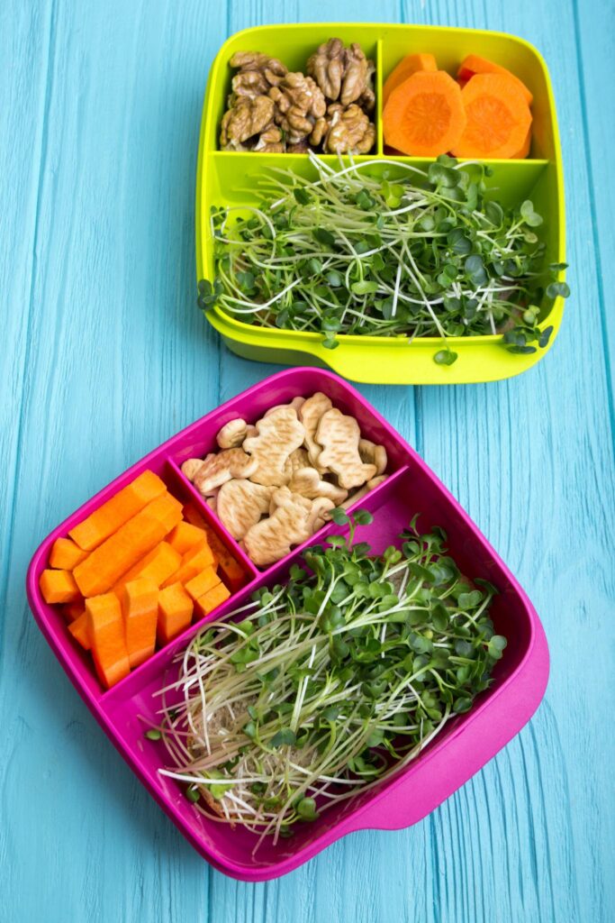 Healthy Lunchbox Ideas for Preschool Kids s4xhdti9z6gt2qp65 2clnat0ahsaz agray1nbbvgsw3rtcdoel9pvwc jzk4k1dun8nqijq6prlt2hgususjhyetxb5amikvxpcrd5bbr2nhhyclgmuxnyeoes2xhkxarhncl sfazu 9oslkj5xqzx4oavhlxwuui8hmmhqew8awyqjed3hhh9icunj6k